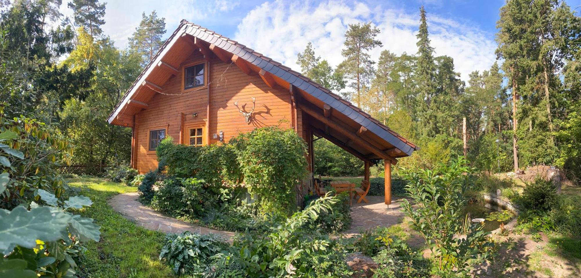 Waldhaus Eichhoernchen Bad Schmiedeberg Exterior foto
